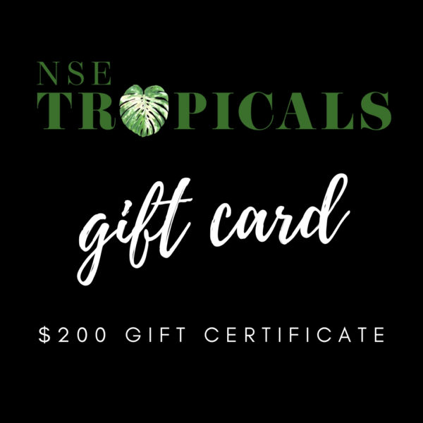 Gift certificate $200