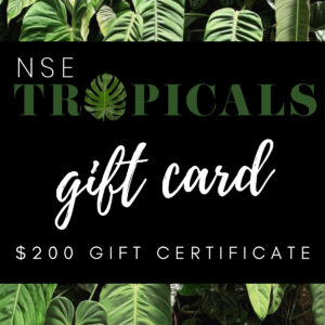 Shop - NSE Tropicals